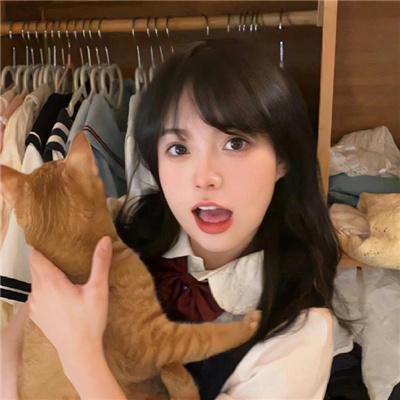 狼群出动